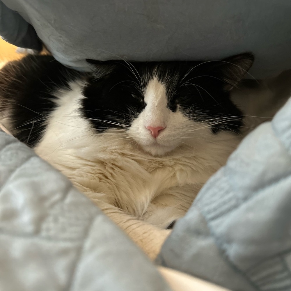 Meet your Posher, Helen